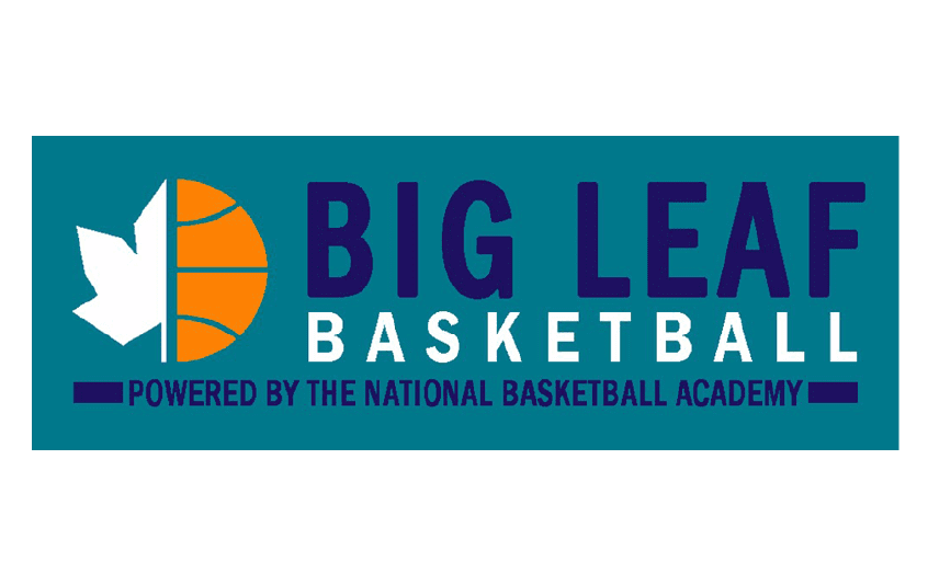 BigLeafLogo2022-23_846x524wq